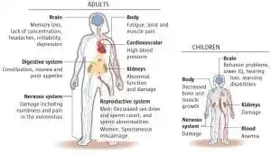 affects of lead poisoning on the body