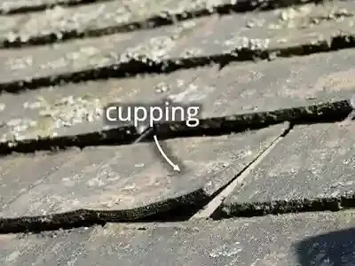 cupping cedar shingles