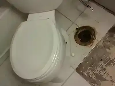 sewer scope inspection through toilet